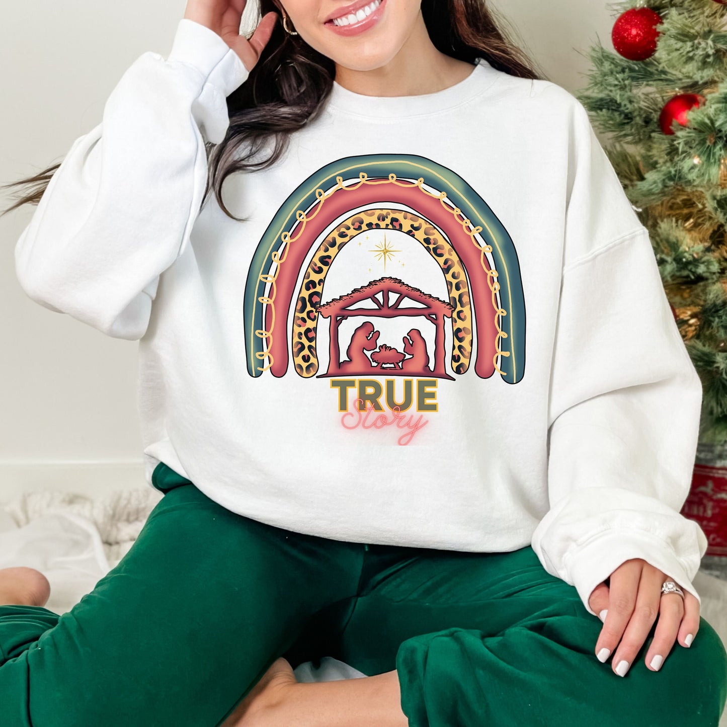 Christmas Nativity Sweatshirt, True Story Faith Based Christmas Sweatshirt, Nativity Story Shirt, Jesus is the reason , Christian Christmas