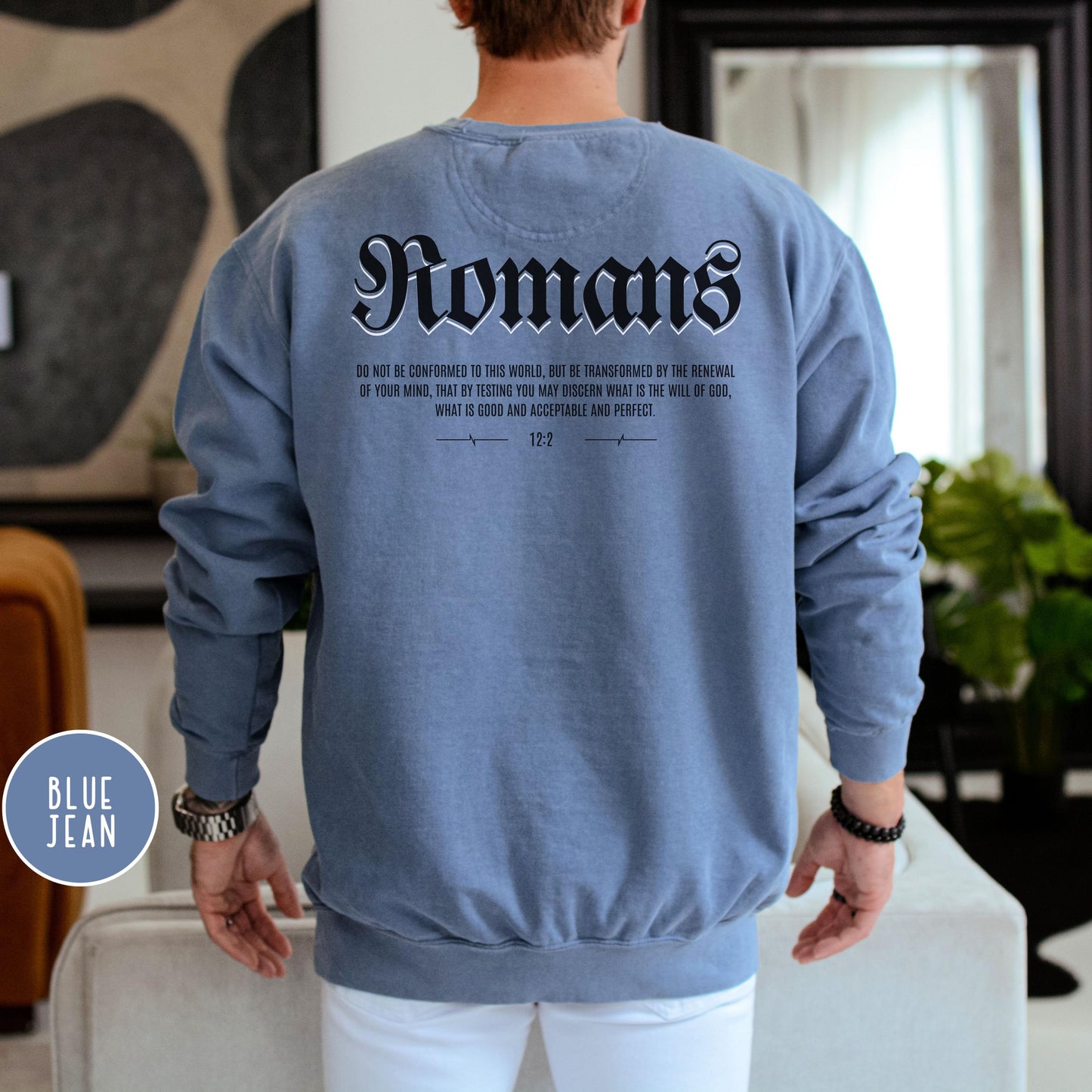 Mens Christian Comfort Colors Sweatshirt, Romans 12:2 Sweatshirt, Faith Sweatshirt, Jesus Sweatshirt, christian merch, Mens Christian Hoodie