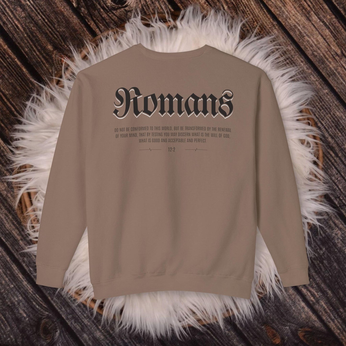 Mens Christian Comfort Colors Sweatshirt, Romans 12:2 Sweatshirt, Faith Sweatshirt, Jesus Sweatshirt, christian merch, Mens Christian Hoodie