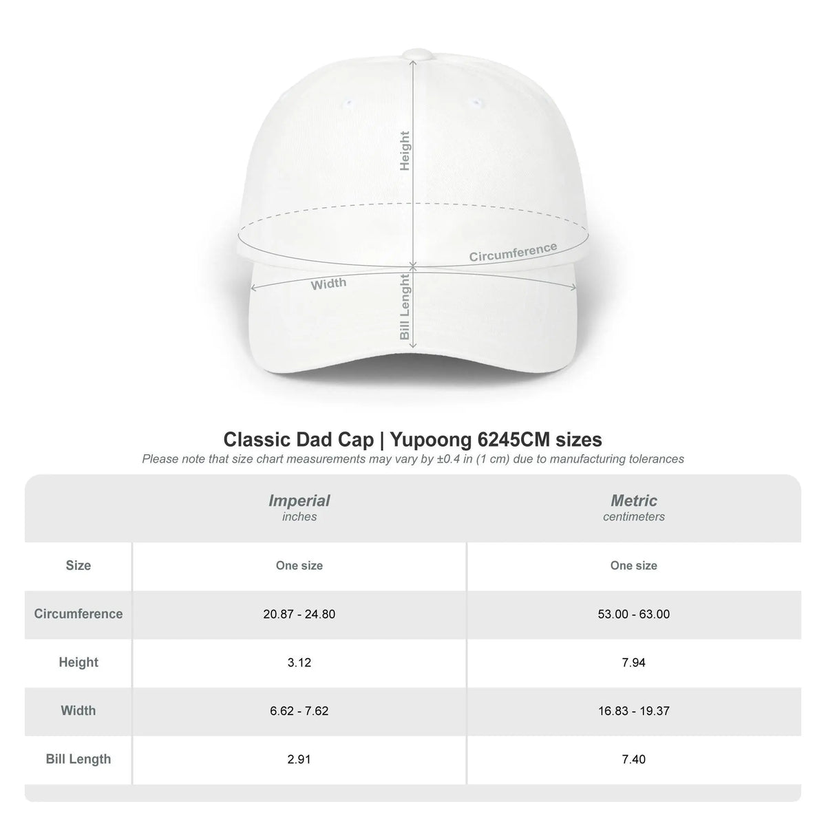 Blessed Christian Hat | BLSD Crown Embroidered Dad Cap | Faith Baseball Cap | Christian Gift for Men and Women | Embroidered Christian Hat